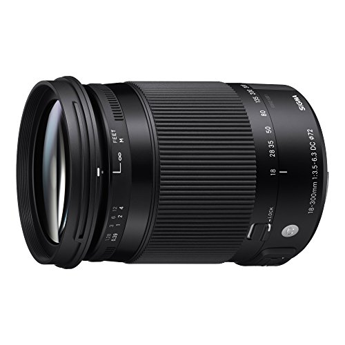 Sigma 886955 - Objetivo para cámara 18-300 mm F3.5-6.3 DC Macro OS HSM (C) para Nikon