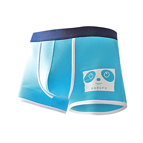 MaNMaNing Bóxers Ropa Interior de algodón para Hombre, Calzoncillos bóxer de Dibujos Animados para Transpirables de Verano, bóxer para la Cabeza (Sky Blue, XXXL)