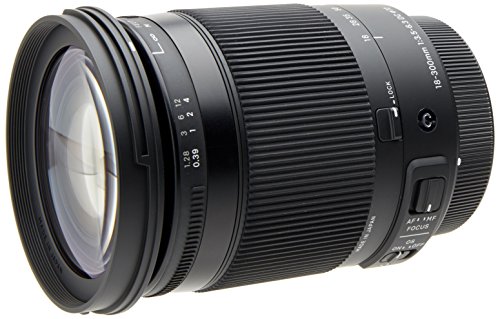 Sigma 886954 - Objetivo para cámara 18-300 mm F3.5-6.3 DC Macro OS HSM (C) para Canon