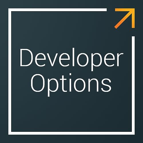 Developer Options - Loader shortcut for Fire TV