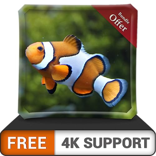 Acuario de peces payaso gratis HD: decora tu habitación con un hermoso acuario en tu televisor HDR 4K, televisor 8K y dispositivos de fuego como fondo de pantalla, decoración para las vacaciones de Na