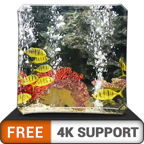 acuario pacífico gratis HD: decora tu habitación con un hermoso acuario de vida marina en tu televisor HDR 4K, TV 8K y dispositivos de fuego como fondo de pantalla, decoración para las vacaciones de N